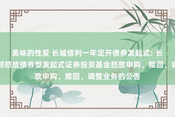 美味的性爱 长城信利一年定开债券发起式: 长城信利一年如期怒放债券型发起式证券投资基金怒放申购、赎回、调整业务的公告