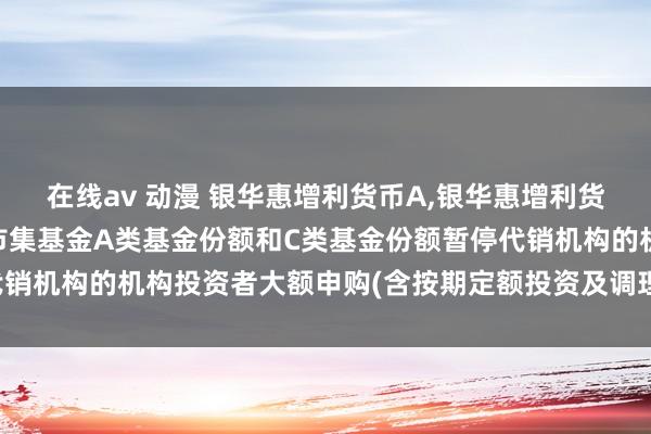 在线av 动漫 银华惠增利货币A，银华惠增利货币C: 银华惠增利货币市集基金A类基金份额和C类基金份额暂停代销机构的机构投资者大额申购(含按期定额投资及调理转入)业务的公告