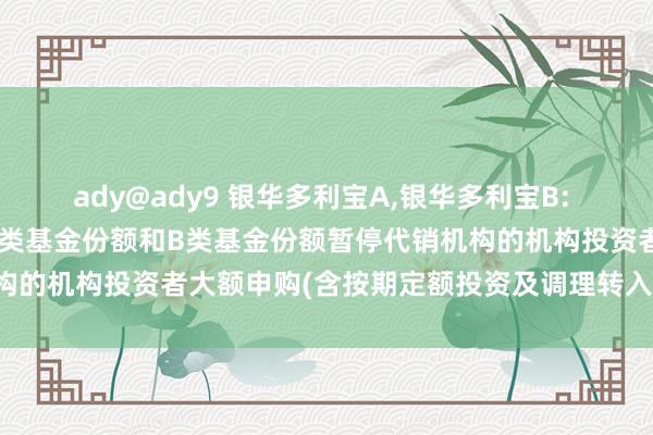 ady@ady9 银华多利宝A，银华多利宝B: 银华多利宝货币市集基金A类基金份额和B类基金份额暂停代销机构的机构投资者大额申购(含按期定额投资及调理转入)业务的公告