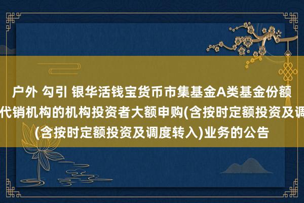 户外 勾引 银华活钱宝货币市集基金A类基金份额和F类基金份额暂停代销机构的机构投资者大额申购(含按时定额投资及调度转入)业务的公告