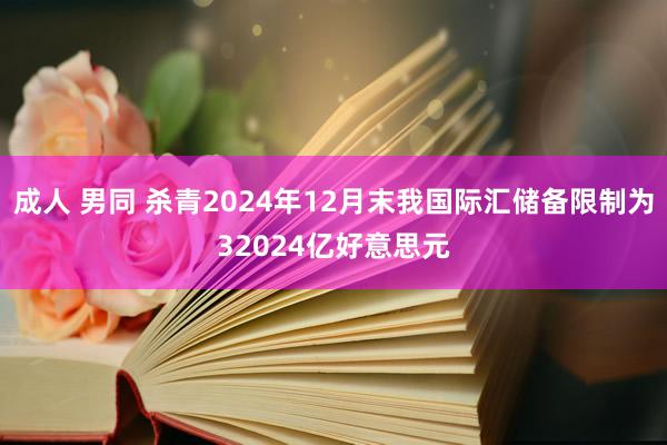 成人 男同 杀青2024年12月末我国际汇储备限制为32024亿好意思元