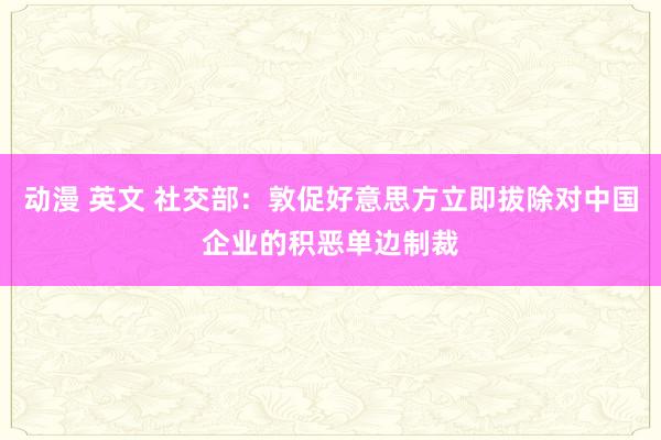 动漫 英文 社交部：敦促好意思方立即拔除对中国企业的积恶单边制裁