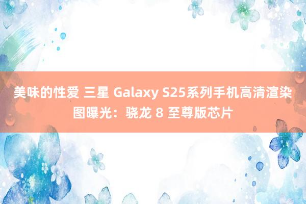 美味的性爱 三星 Galaxy S25系列手机高清渲染图曝光：骁龙 8 至尊版芯片