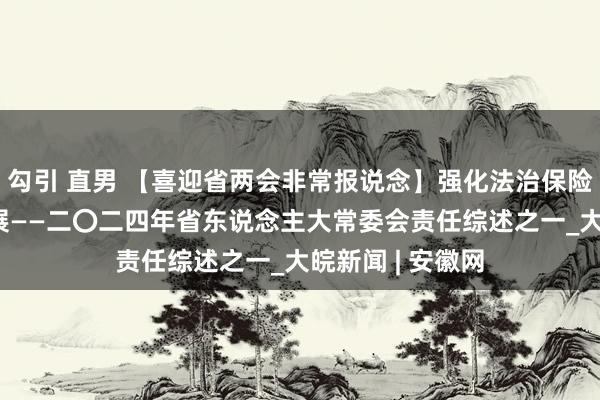 勾引 直男 【喜迎省两会非常报说念】强化法治保险 助力高质地发展——二〇二四年省东说念主大常委会责任综述之一_大皖新闻 | 安徽网