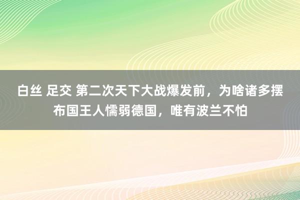 白丝 足交 第二次天下大战爆发前，为啥诸多摆布国王人懦弱德国，唯有波兰不怕