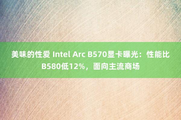 美味的性爱 Intel Arc B570显卡曝光：性能比B580低12%，面向主流商场