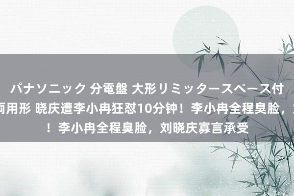 パナソニック 分電盤 大形リミッタースペース付 露出・半埋込両用形 晓庆遭李小冉狂怼10分钟！李小冉全程臭脸，刘晓庆寡言承受