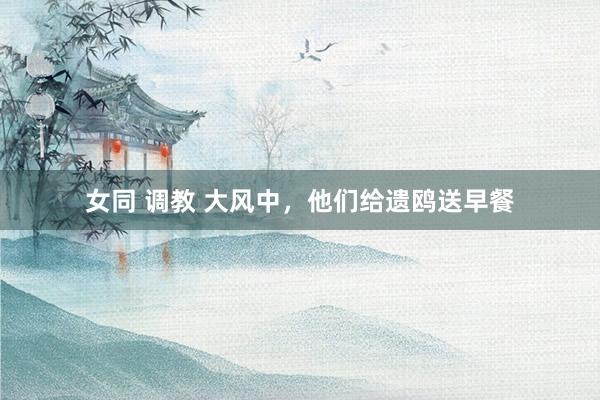 女同 调教 大风中，他们给遗鸥送早餐